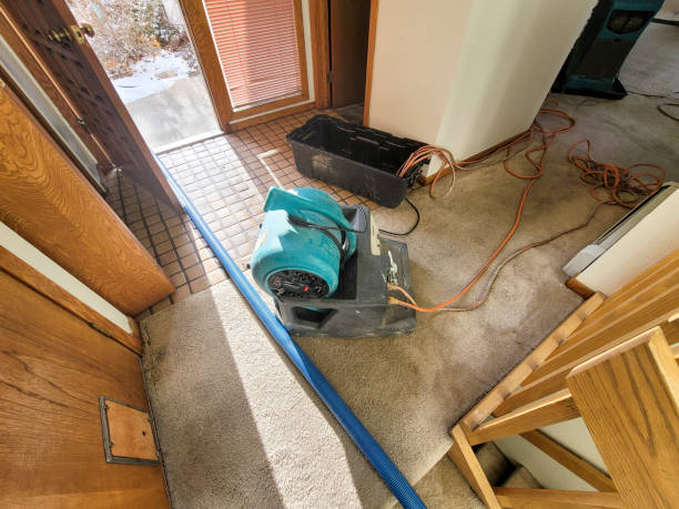 Best Commercial water damage restoration  in USA